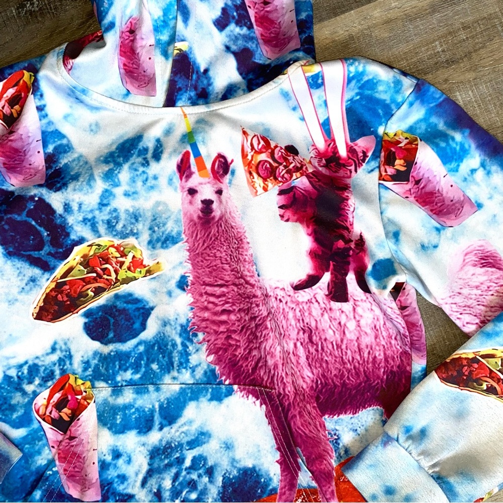 SOLD Pink Laser Kitty Llama Unicorn Pizza Taco Burrito Hoodie Size Youth Medi… - Picture 3 of 11